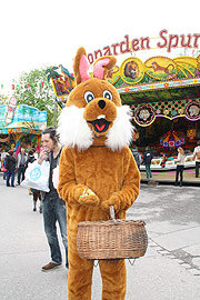 Osterhase auf dem Osterplärrer (©Foto:Marikka-Laila Maisel)